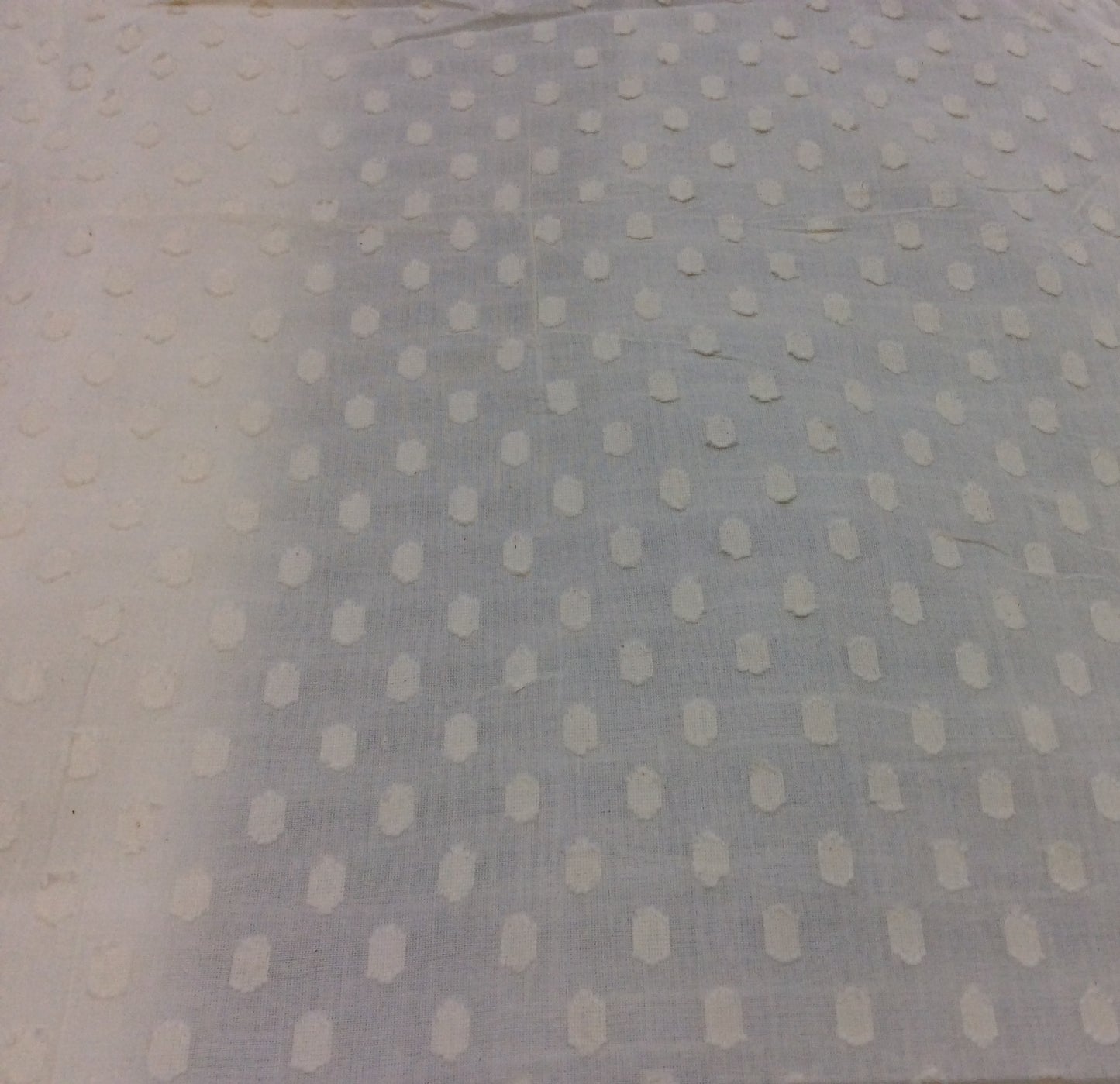 Greige Natural Swiss Dot Cotton Dyeable (Sku: S-24)