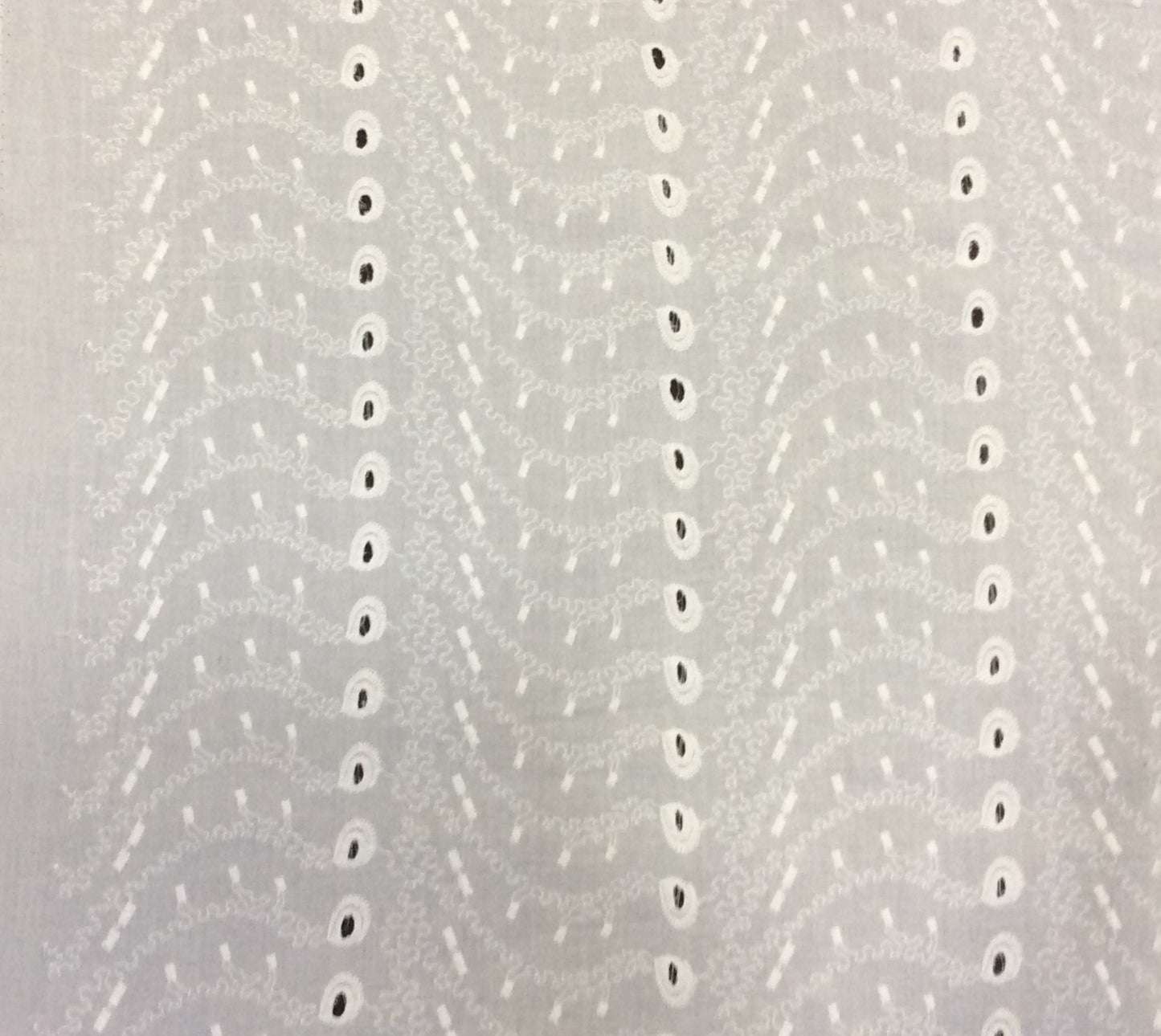 White Cotton Schiffli Chikan Dyeable (Sku: S-95)