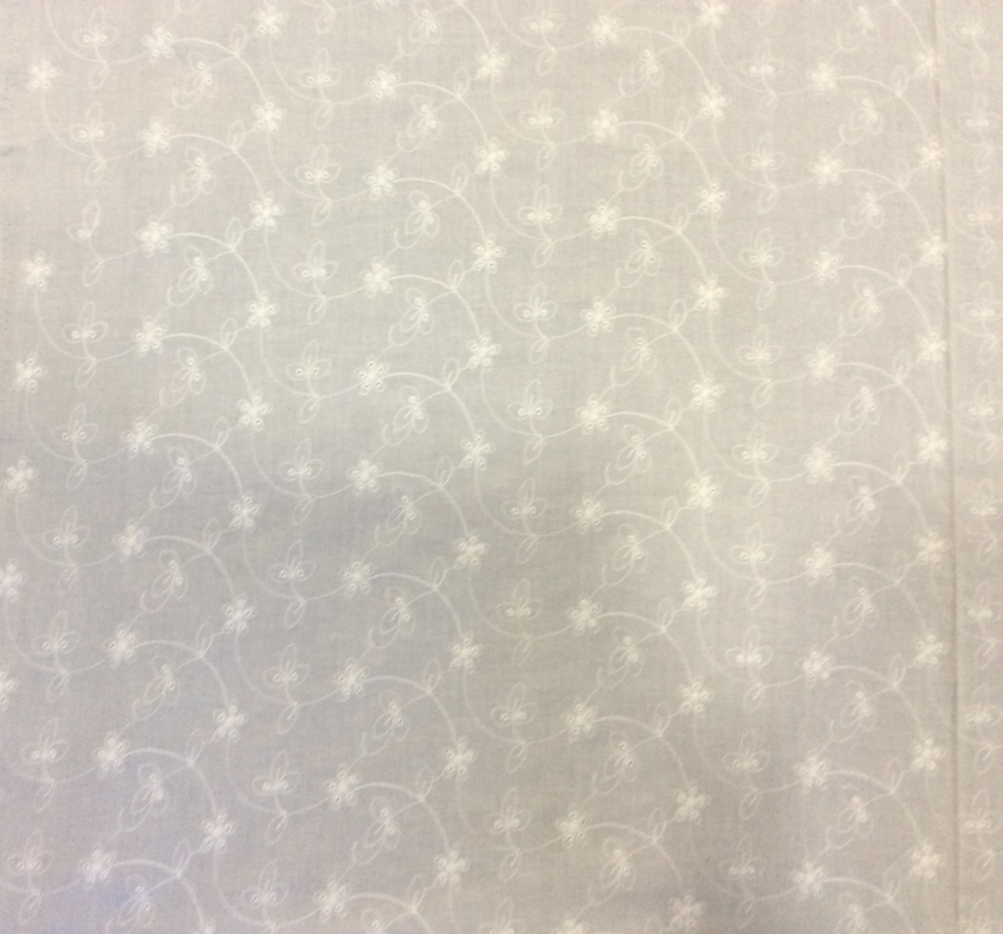 White Cotton Schiffli Chikan Dyeable (Sku: S-98)