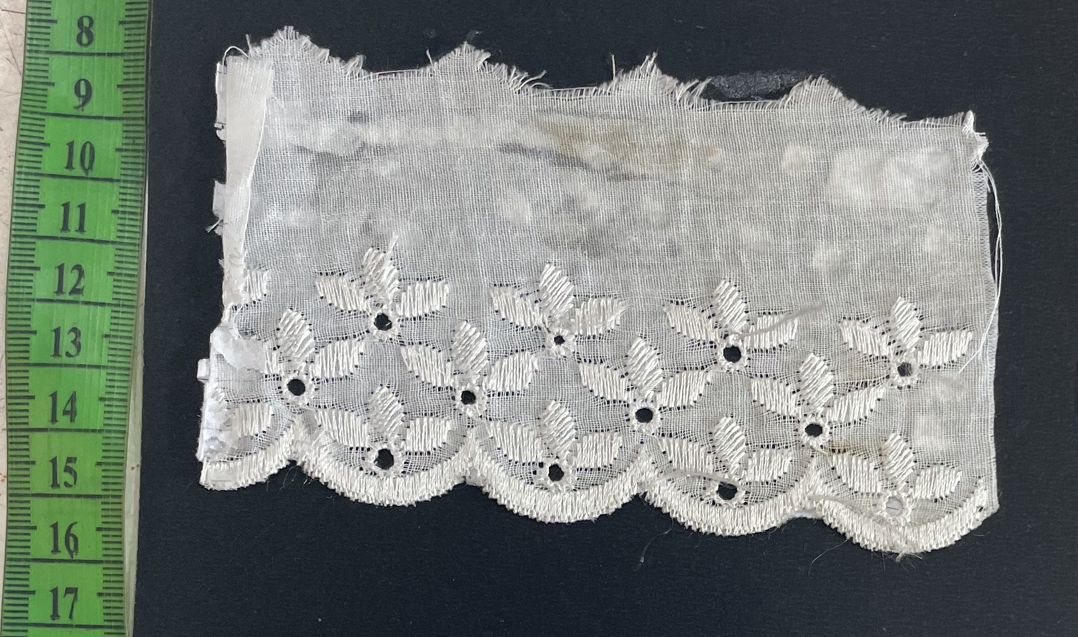 White Cotton Dyeable Schiffli Lace (Sku: S-116)