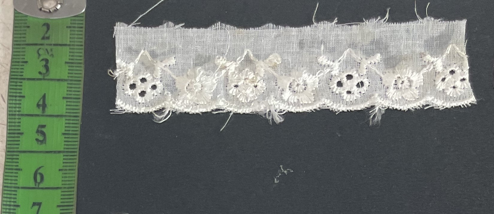 White Cotton Dyeable Schiffli Lace (Sku: S-119)