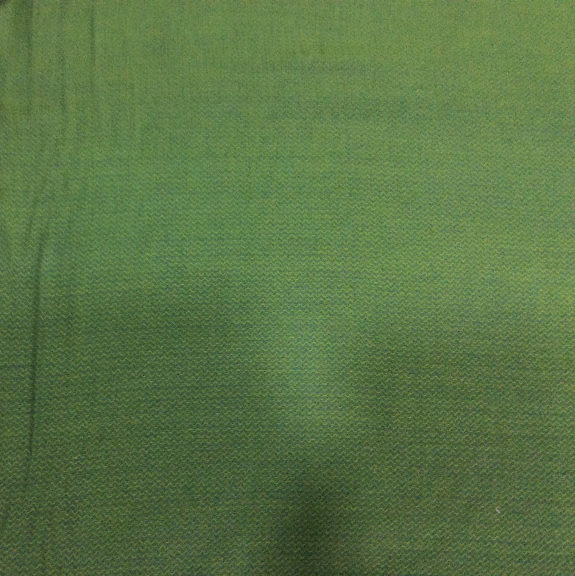 Green Cotton Fabric (Sku: S-28)