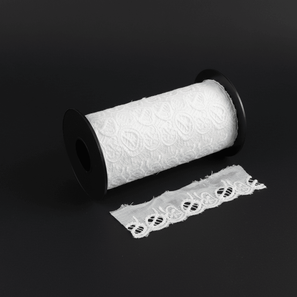 White Cotton Dyeable Schiffli Lace Set of 5 Meter | SKU: S-93